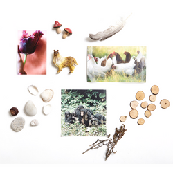 Natur Tema